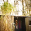 Das Migrantpolitan, ein kleines, einstöckiges Haus mit flachem Dach und bunt verzierten Fenstern, wird von der Sonne angestrahlt. An der Seite sind Holzstreben, an denen Pflanzen hochklettern können, im Vordergrund des Bildes eine bambusartige Pflanze.