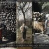 Collage aus drei alten Fotografien von einem alten Mann, einer alten Frau und einem kleinen Jungen in traditioneller bosnischer Kleidung. Unter der Collage steht: "state = nation = religion = language = history"