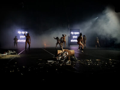 In the predominantly black stage space, partially dismembered pieces of wood can be seen in the foreground, in the background several dynamically moving naked performers and two projections with the words: rip open your stomach.