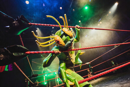 A person in a fighting ring can be seen. The person is wearing the green and yellow costume of an insect. The insect head is put through the barrier of the fighting ring.